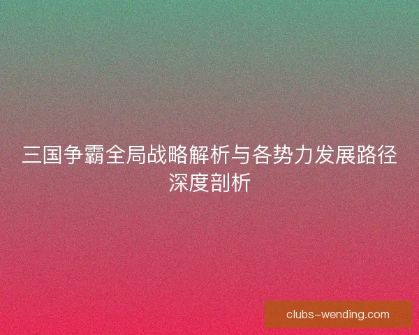 三国争霸全局战略解析与各势力发展路径深度剖析