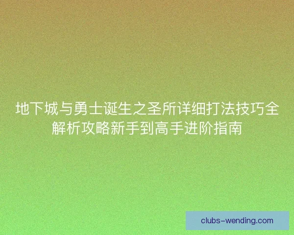 地下城与勇士诞生之圣所详细打法技巧全解析攻略新手到高手进阶指南